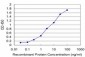 EXOSC2 Antibody (monoclonal) (M06)